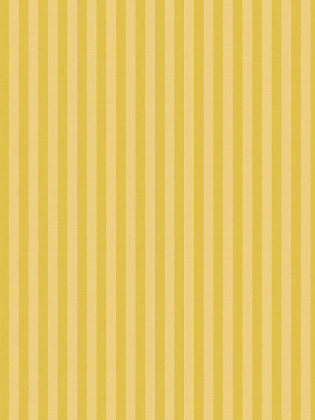 Sunkissed Stripes Kurta Set