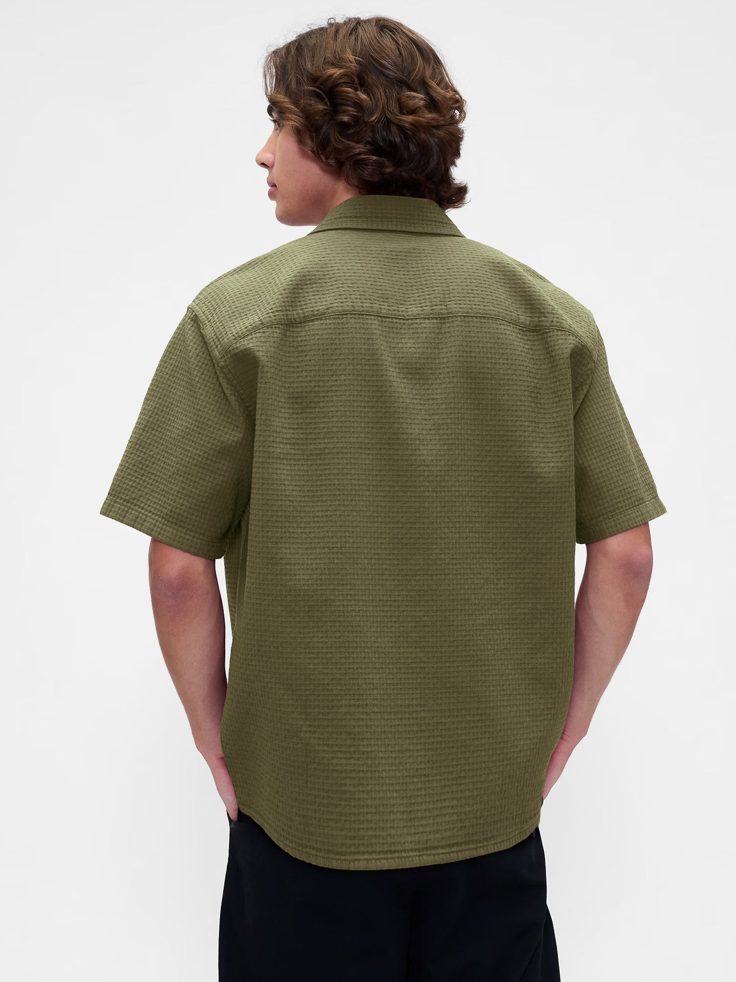 In the Olive Zone